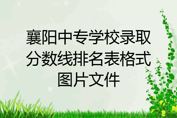 襄阳中专学校录取分数线排名表格式图片文件