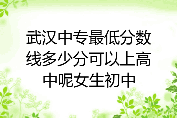 武汉中专最低分数线多少分可以上高中呢女生初中