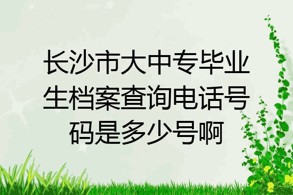 长沙市大中专毕业生档案查询电话号码是多少号啊