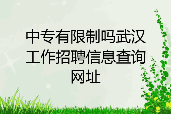 中专有限制吗武汉工作招聘信息查询网址