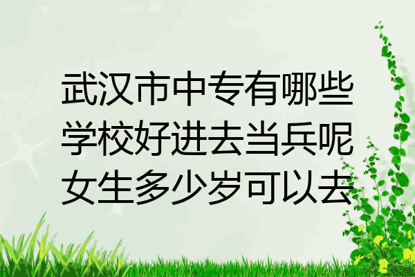 武汉市中专有哪些学校好进去当兵呢女生多少岁可以去