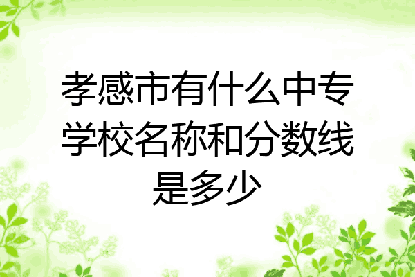 孝感市有什么中专学校名称和分数线是多少