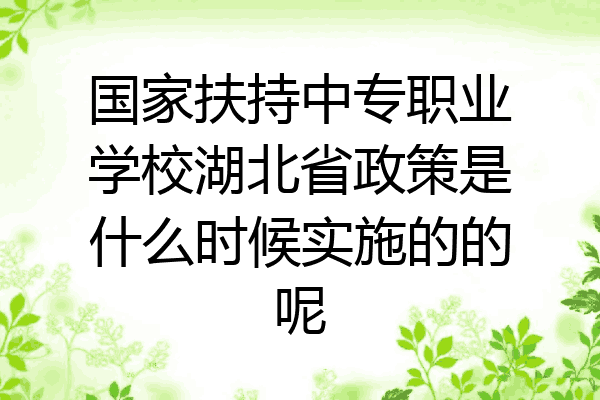 国家扶持中专职业学校湖北省政策是什么时候实施的的呢