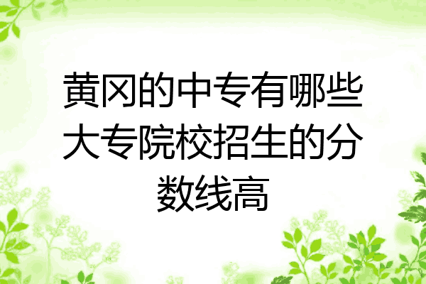 黄冈的中专有哪些大专院校招生的分数线高