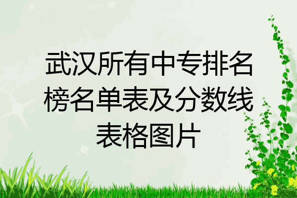 武汉所有中专排名榜名单表及分数线表格图片
