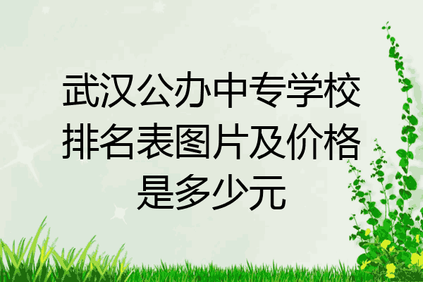 武汉公办中专学校排名表图片及价格是多少元