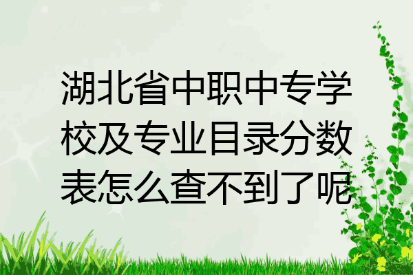 湖北省中职中专学校及专业目录分数表怎么查不到了呢