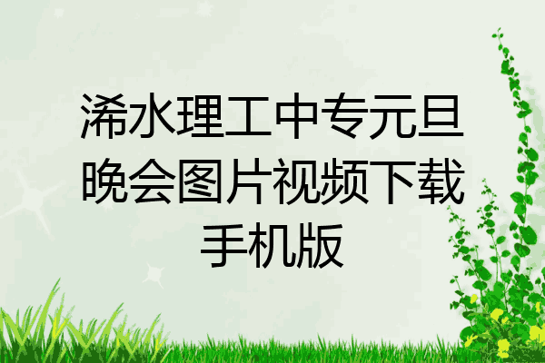 浠水理工中专元旦晚会图片视频下载手机版