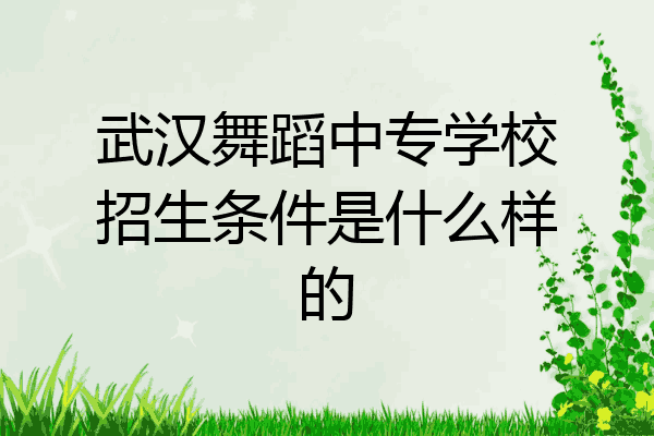 武汉舞蹈中专学校招生条件是什么样的