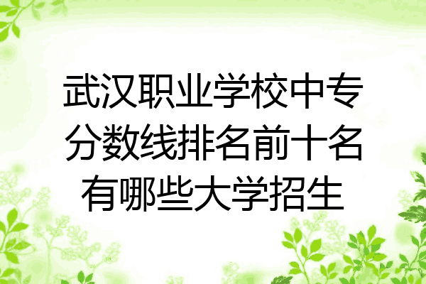 武汉职业学校中专分数线排名前十名有哪些大学招生