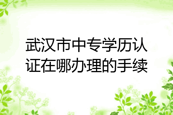 武汉市中专学历认证在哪办理的手续