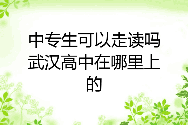 中专生可以走读吗武汉高中在哪里上的