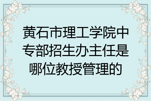 黄石市理工学院中专部招生办主任是哪位教授管理的