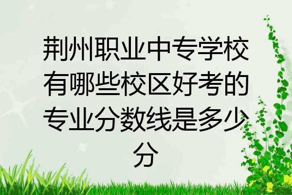 荆州职业中专学校有哪些校区好考的专业分数线是多少分