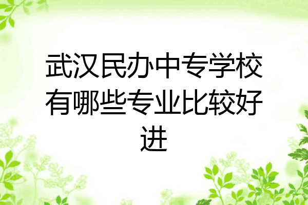 武汉民办中专学校有哪些专业比较好进