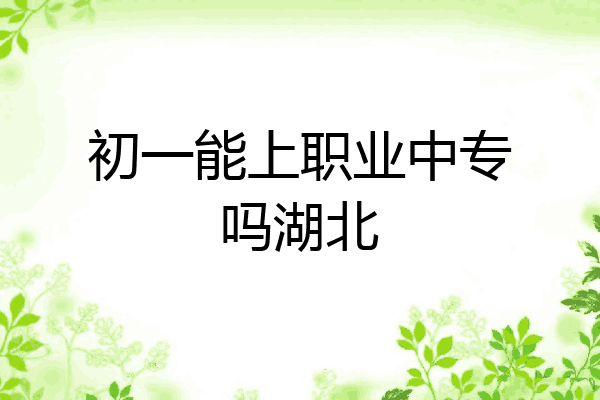 初一能上职业中专吗湖北
