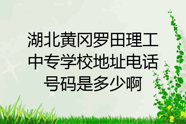 湖北黄冈罗田理工中专学校地址电话号码是多少啊