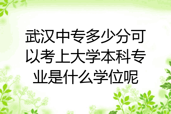 武汉中专多少分可以考上大学本科专业是什么学位呢