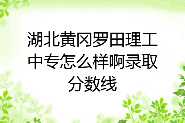 湖北黄冈罗田理工中专怎么样啊录取分数线