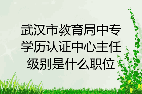 武汉市教育局中专学历认证中心主任级别是什么职位