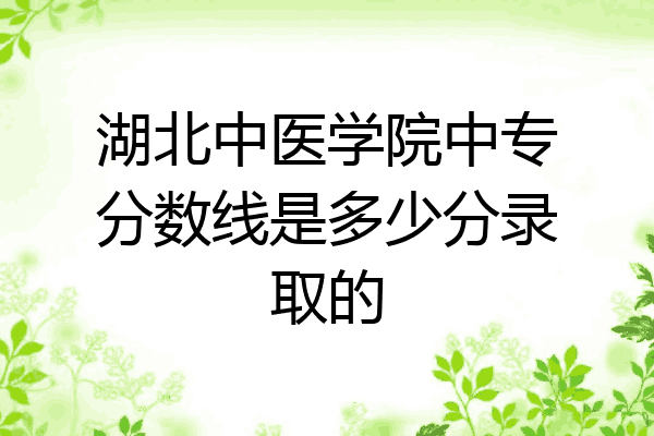 湖北中医学院中专分数线是多少分录取的