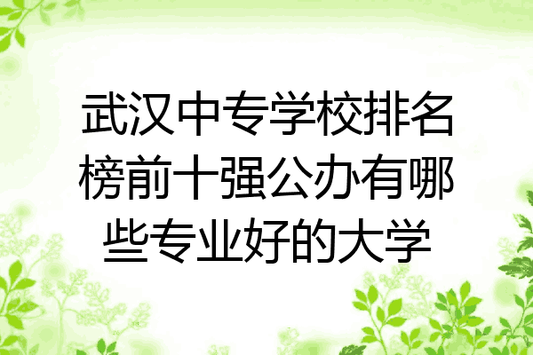 武汉中专学校排名榜前十强公办有哪些专业好的大学