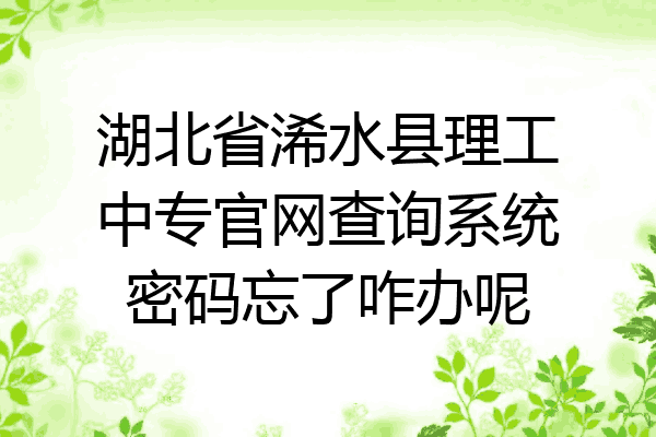 湖北省浠水县理工中专官网查询系统密码忘了咋办呢
