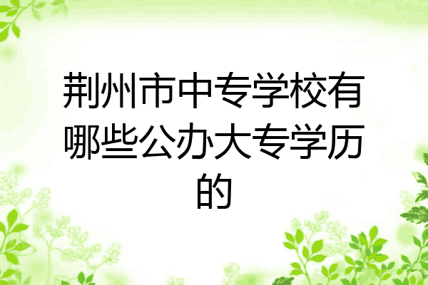 荆州市中专学校有哪些公办大专学历的