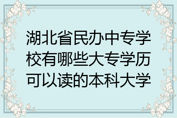 湖北省民办中专学校有哪些大专学历可以读的本科大学