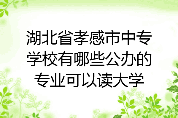 湖北省孝感市中专学校有哪些公办的专业可以读大学
