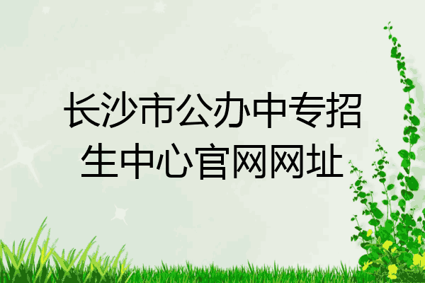 长沙市公办中专招生中心官网网址