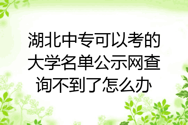 湖北中专可以考的大学名单公示网查询不到了怎么办