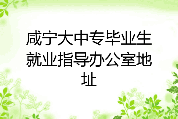 咸宁大中专毕业生就业指导办公室地址