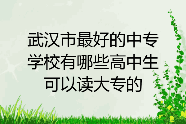 武汉市最好的中专学校有哪些高中生可以读大专的