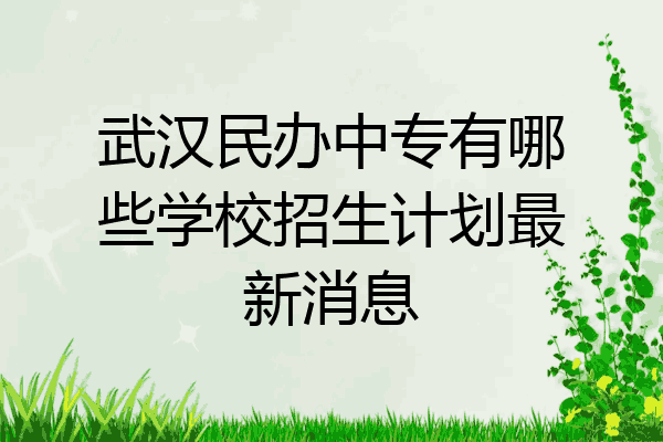 武汉民办中专有哪些学校招生计划最新消息
