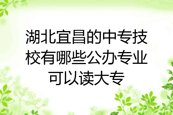 湖北宜昌的中专技校有哪些公办专业可以读大专