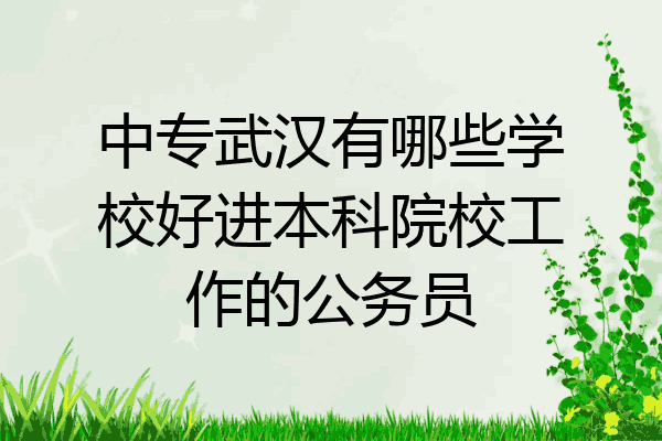 中专武汉有哪些学校好进本科院校工作的公务员