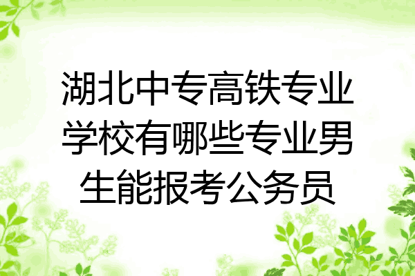 湖北中专高铁专业学校有哪些专业男生能报考公务员