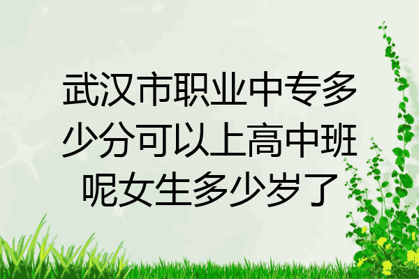武汉市职业中专多少分可以上高中班呢女生多少岁了