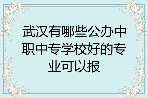 武汉有哪些公办中职中专学校好的专业可以报
