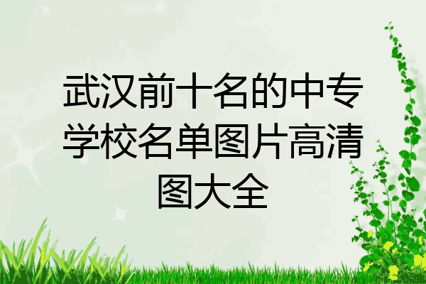 武汉前十名的中专学校名单图片高清图大全