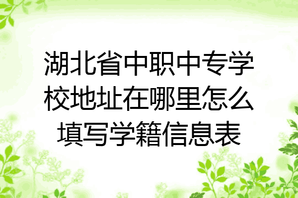 湖北省中职中专学校地址在哪里怎么填写学籍信息表