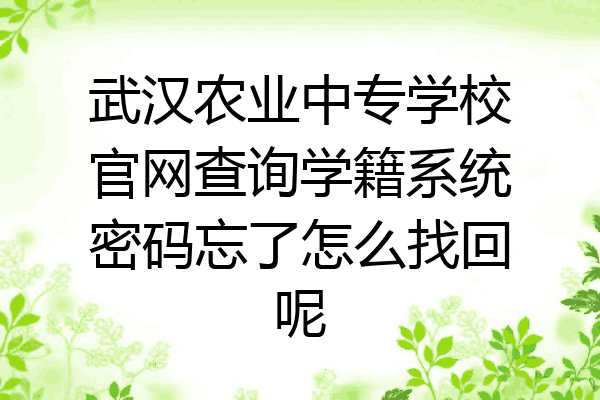 武汉农业中专学校官网查询学籍系统密码忘了怎么找回呢