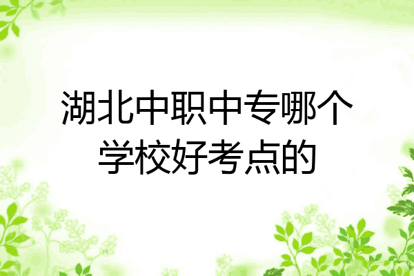 湖北中职中专哪个学校好考点的