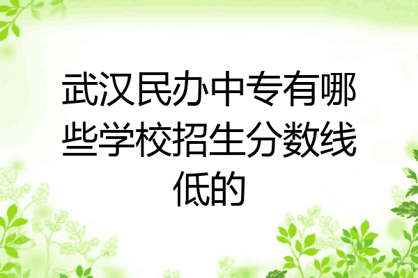 武汉民办中专有哪些学校招生分数线低的