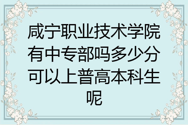 咸宁职业技术学院有中专部吗多少分可以上普高本科生呢