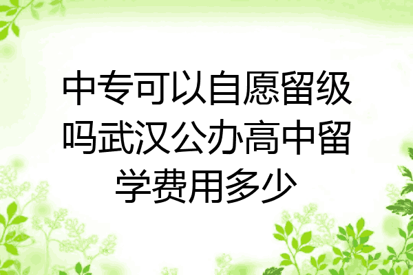 中专可以自愿留级吗武汉公办高中留学费用多少