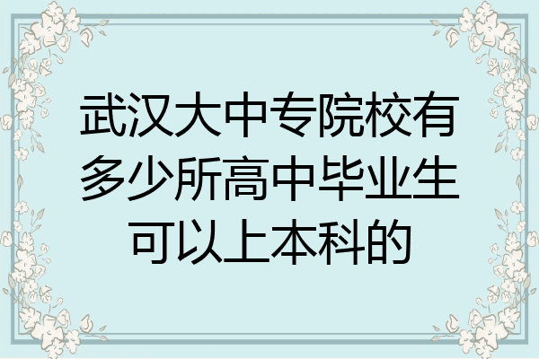 武汉大中专院校有多少所高中毕业生可以上本科的