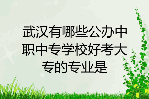 武汉有哪些公办中职中专学校好考大专的专业是