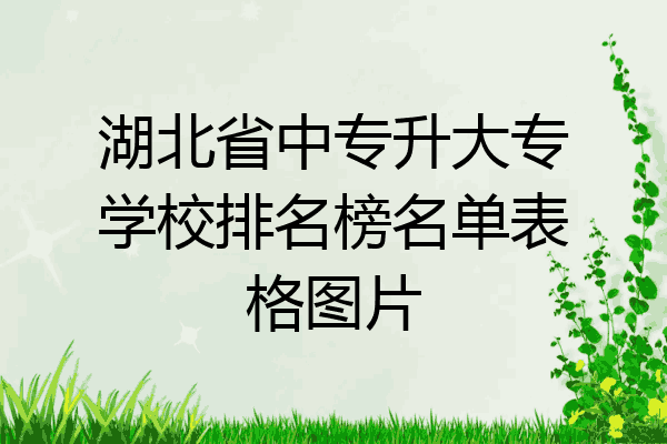 湖北省中专升大专学校排名榜名单表格图片